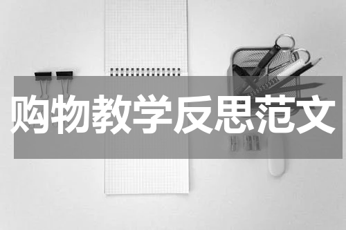 购物教学反思范文