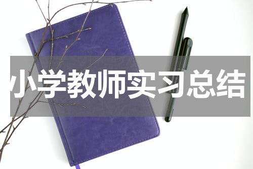 小学教师实习总结