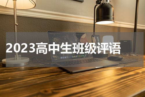 2023高中生班级评语