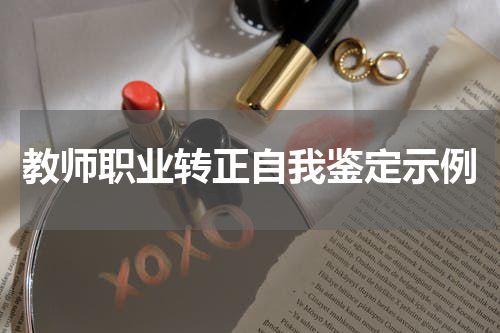 教师职业转正自我鉴定示例
