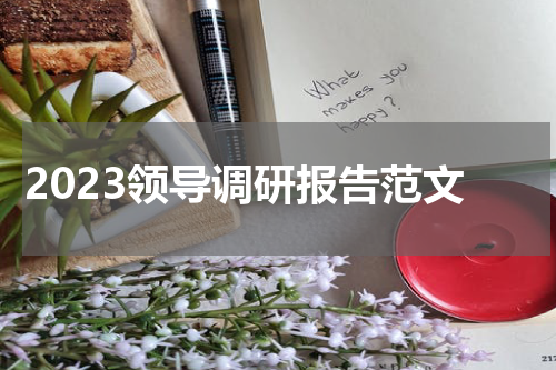 2023领导调研报告范文
