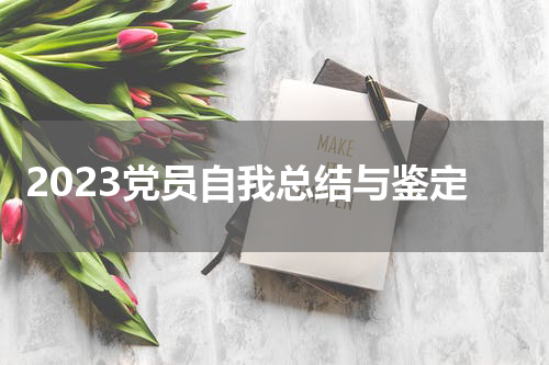 2023党员自我总结与鉴定