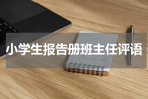 小学生报告册班主任评语