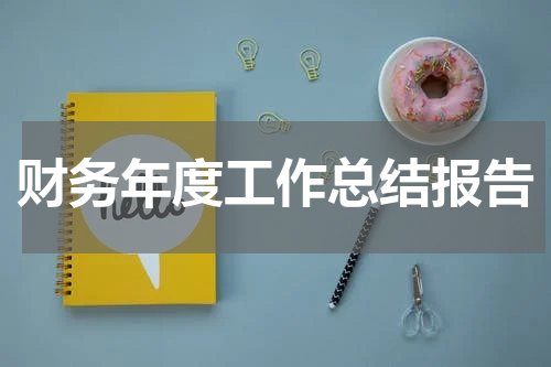 财务年度工作总结报告