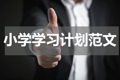 小学学习计划范文