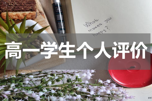 高一学生个人评价