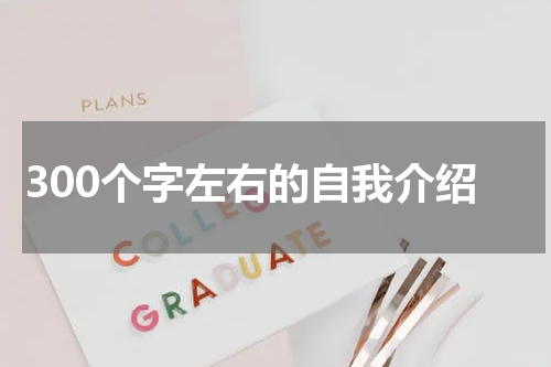 300个字左右的自我介绍