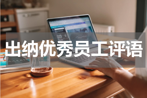 出纳优秀员工评语