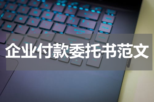 企业付款委托书范文