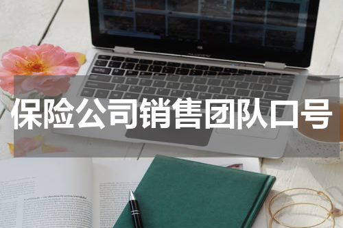 保险公司销售团队口号