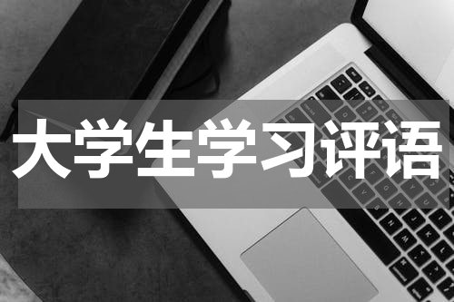 大学生学习评语