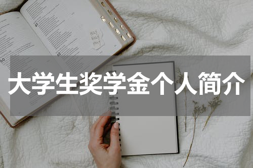 大学生奖学金个人简介