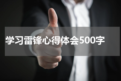 学习雷锋心得体会500字