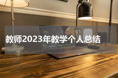 教师2023年教学个人总结