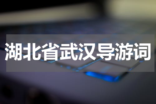 湖北省武汉导游词