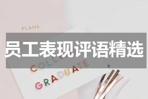 员工表现评语精选