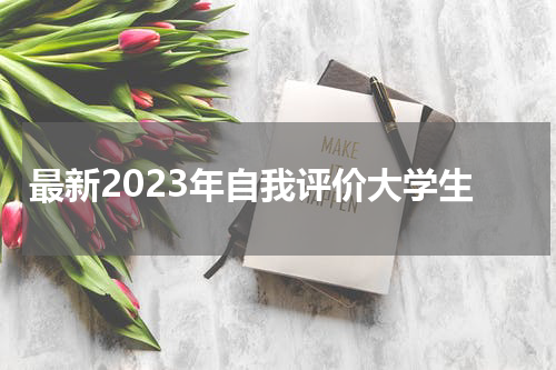 最新2023年自我评价大学生