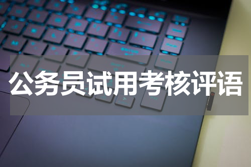 公务员试用考核评语