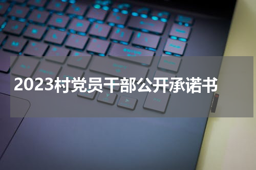 2023村党员干部公开承诺书