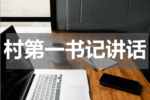 村第一书记讲话