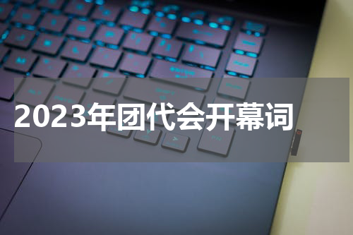 2023年团代会开幕词