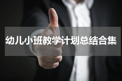 幼儿小班教学计划总结合集