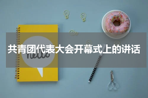 共青团代表大会开幕式上的讲话