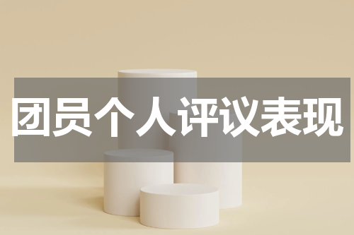 团员个人评议表现