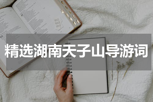 精选湖南天子山导游词