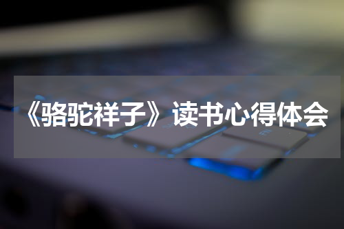 《骆驼祥子》读书心得体会