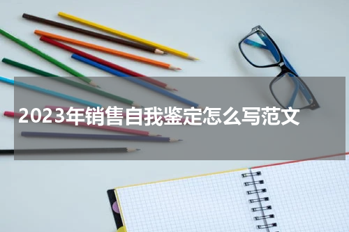 2023年销售自我鉴定怎么写范文