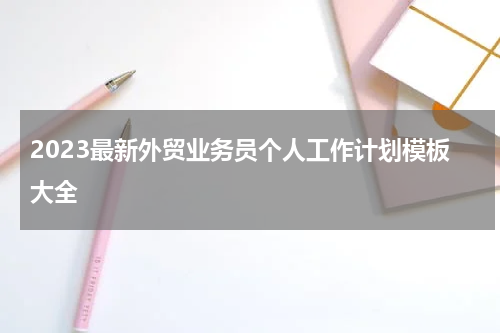 2023最新外贸业务员个人工作计划模板大全