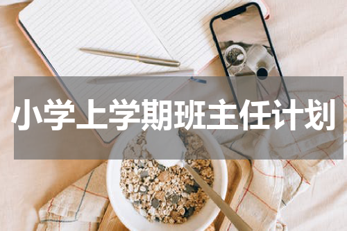 小学上学期班主任计划