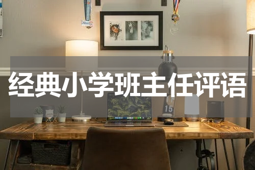 经典小学班主任评语