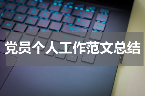 党员个人工作范文总结