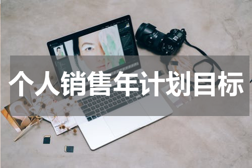 个人销售年计划目标