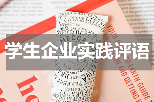 学生企业实践评语