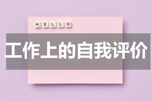 工作上的自我评价