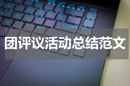 团评议活动总结范文