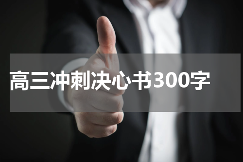 高三冲刺决心书300字