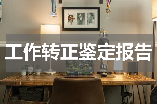 工作转正鉴定报告