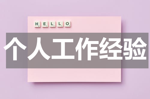 个人工作经验