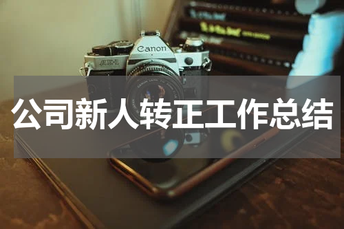 公司新人转正工作总结