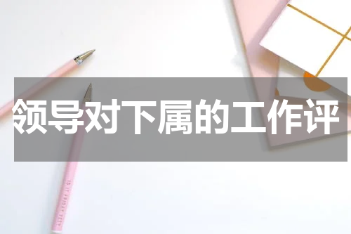 领导对下属的工作评