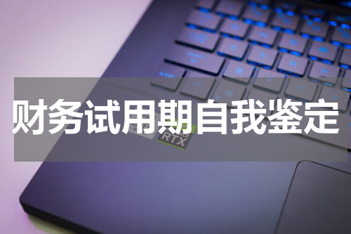 财务试用期自我鉴定