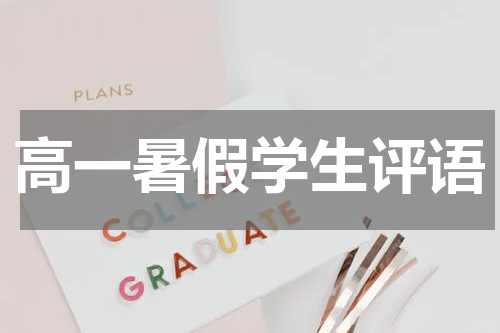 高一暑假学生评语