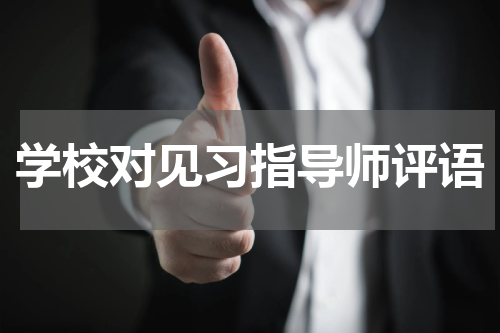 学校对见习指导师评语