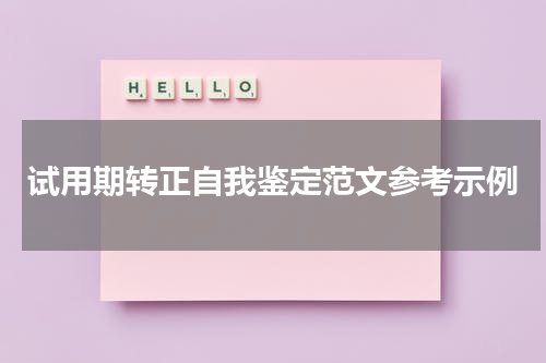 试用期转正自我鉴定范文参考示例