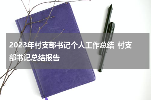 2023年村支部书记个人工作总结_村支部书记总结报告