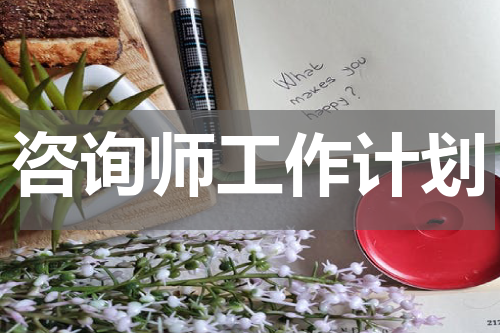 咨询师工作计划